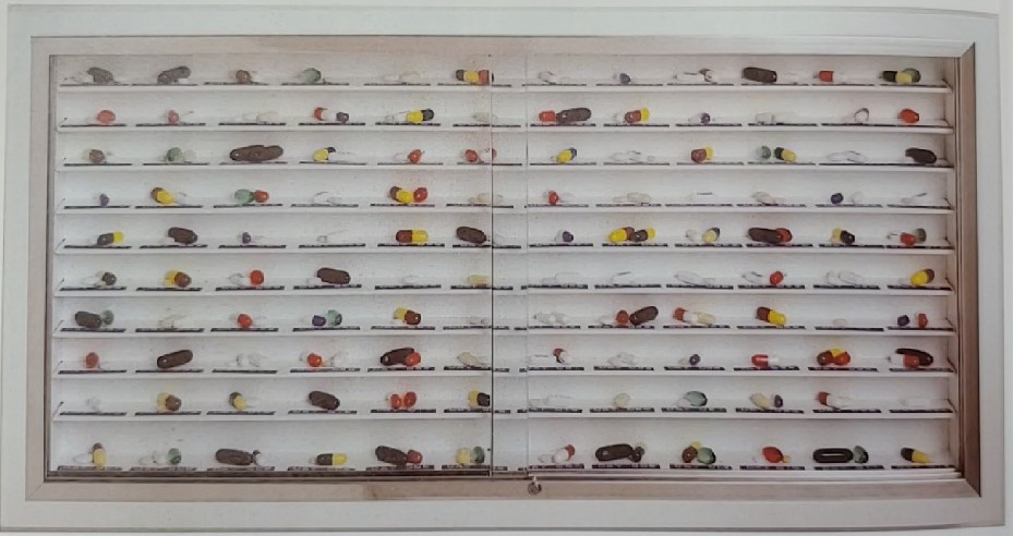 Day by Day, Damien Hirst, stainless steel, glass and wood cabinet with plastic Dymo tape and pills, 2003.jpg