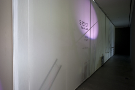 Black,PinkBalls_2014_installationview001.jpg