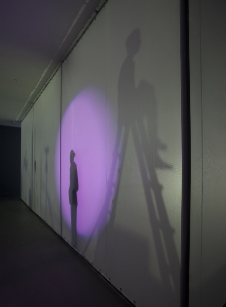 Black,PinkBalls_2014_installationview003.jpg