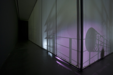 Black,PinkBalls_2014_installationview004.jpg