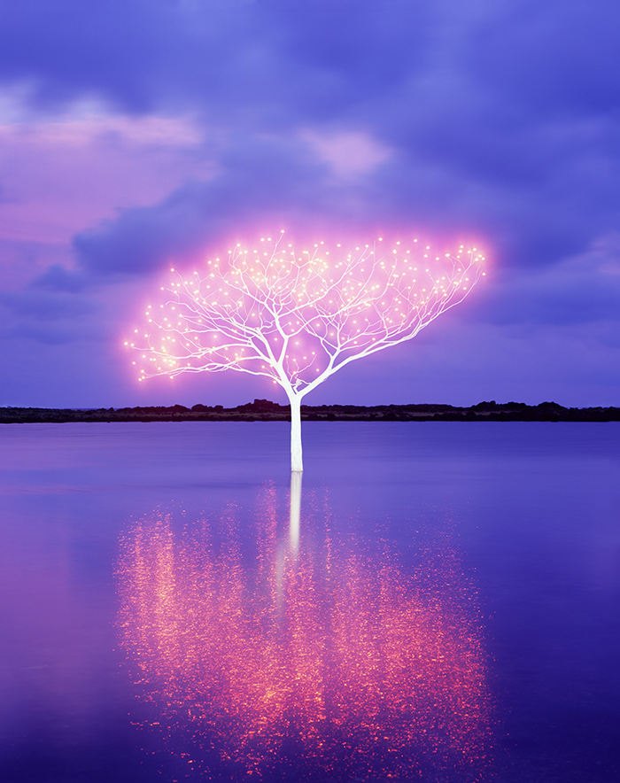 6f6ba57d_1410art_003.jpg