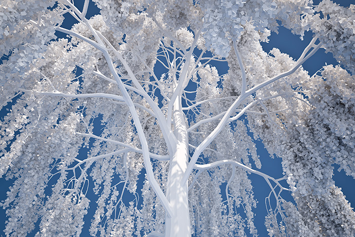 b09b639b_201411ru_006.jpg