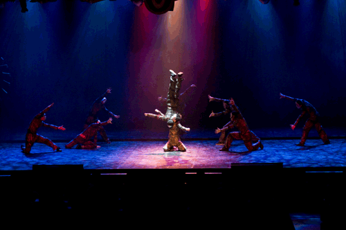 0400091105_30724_M.gif