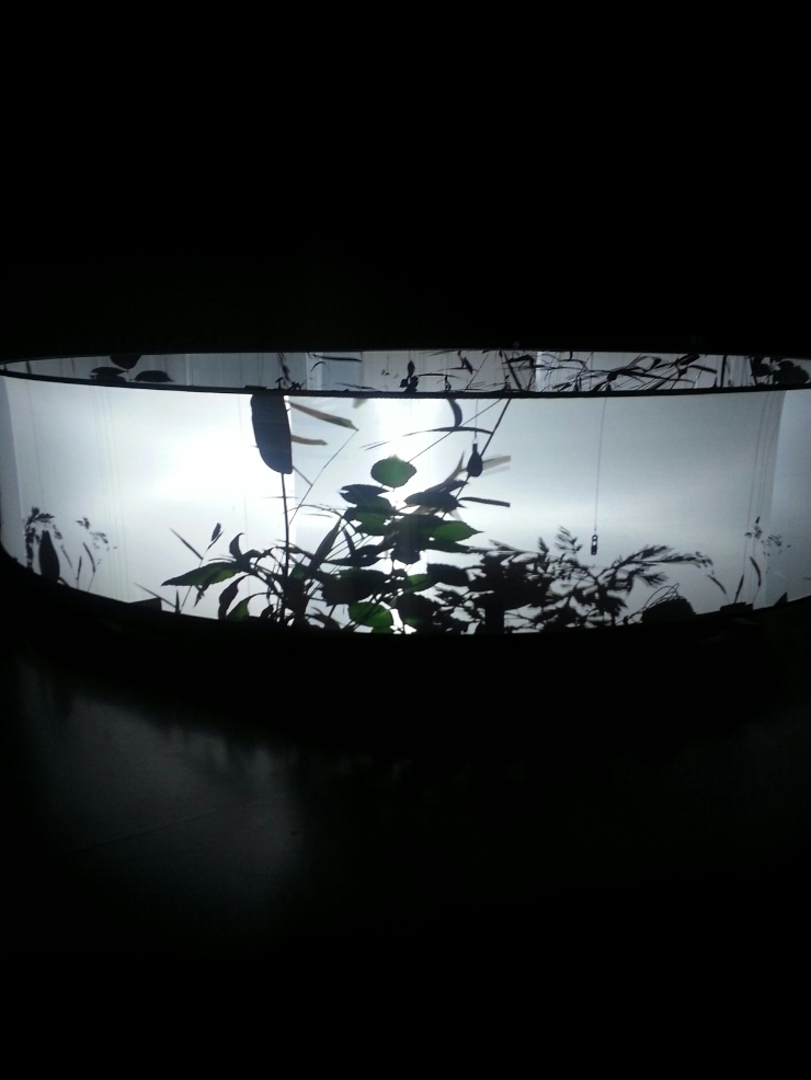 20150107_114726.jpg