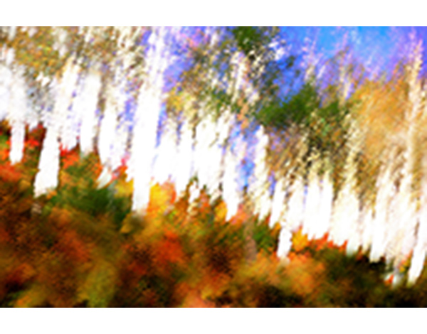 150218_gart_p600_1.jpg