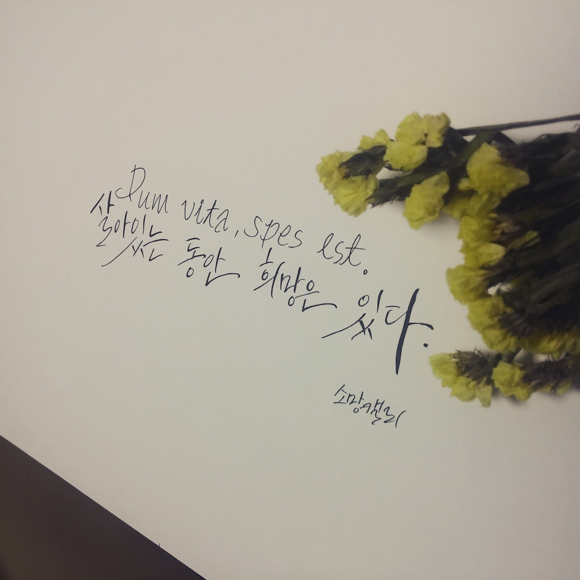 종윤2.jpg