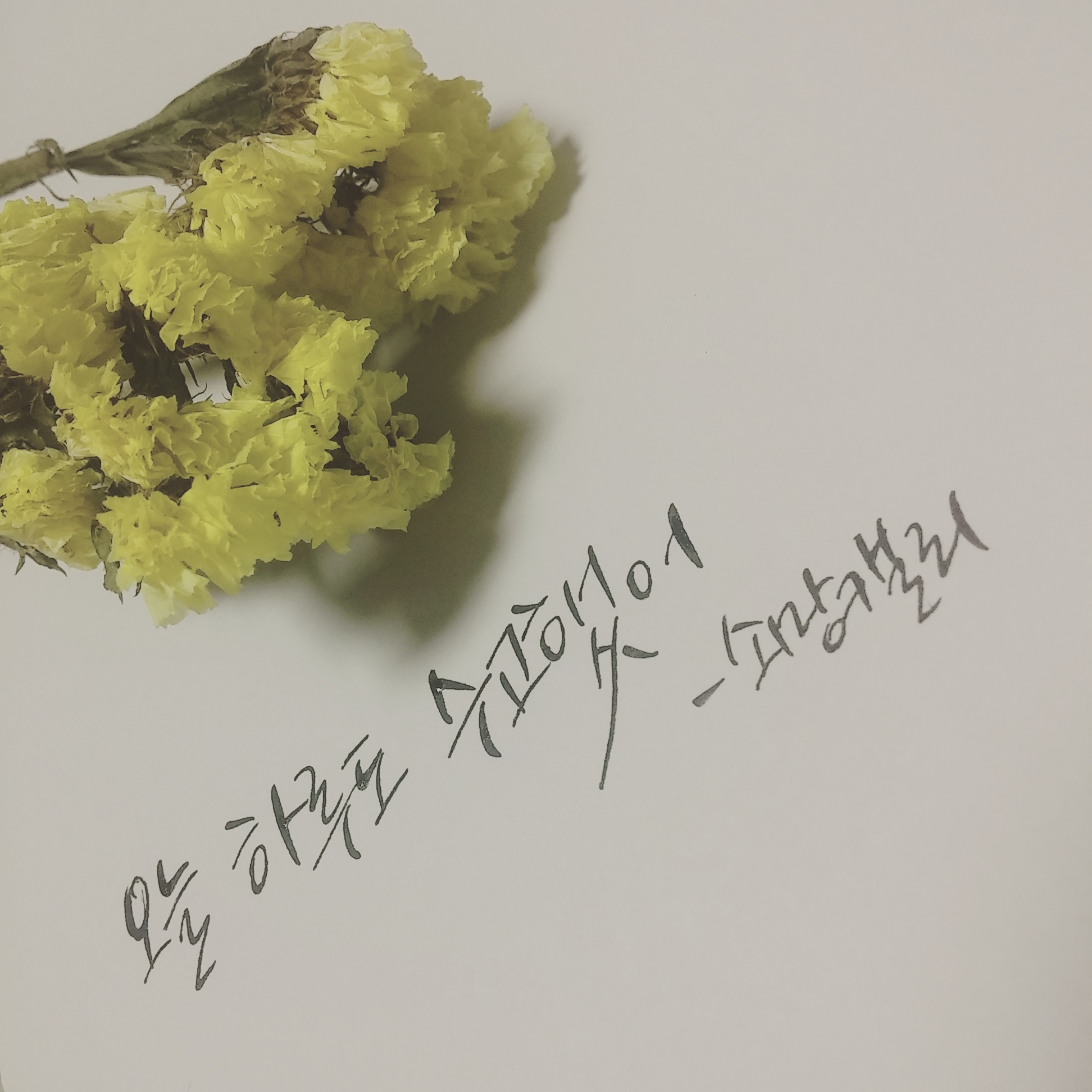 지윤2.jpg