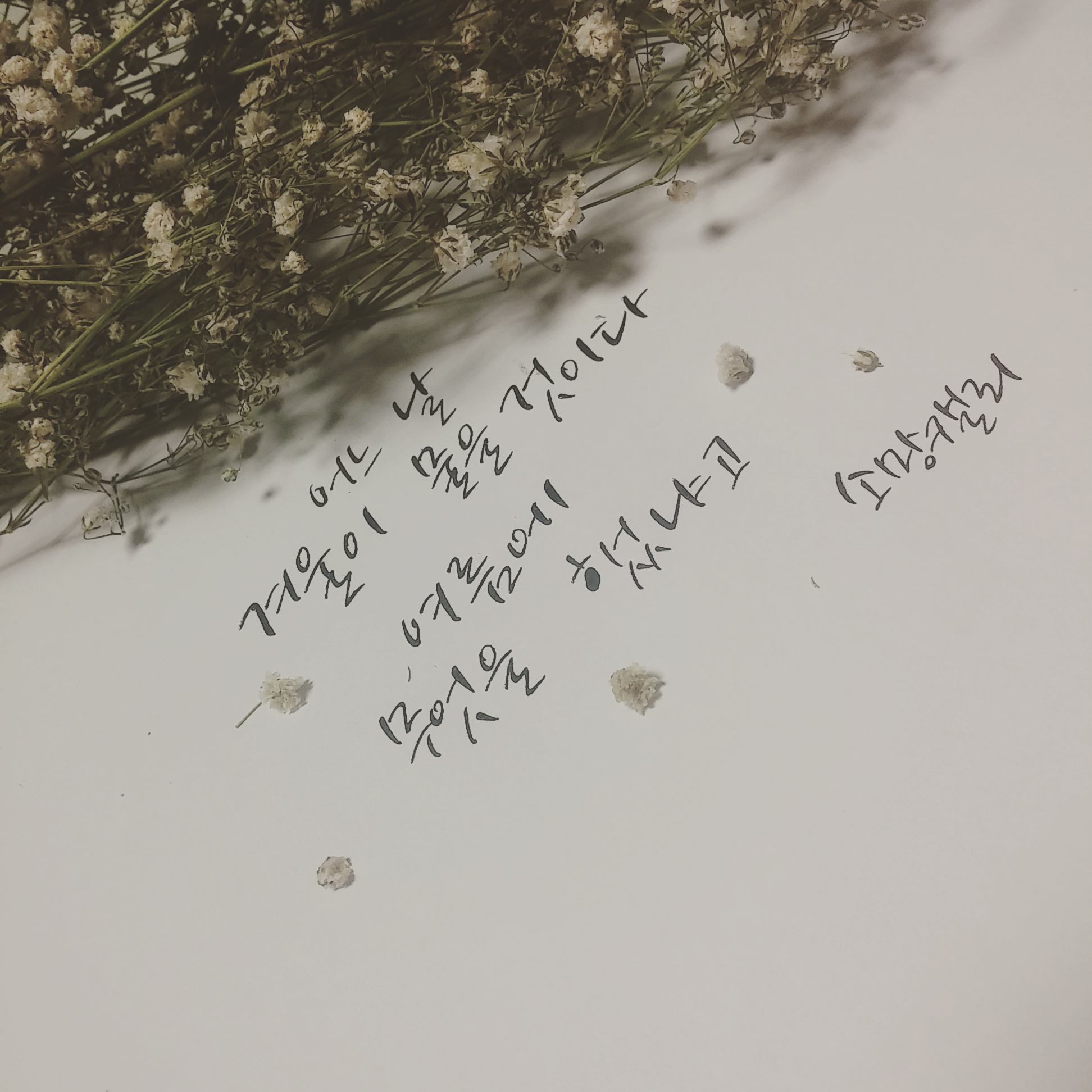 나경1.jpg