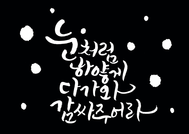 눈.jpg