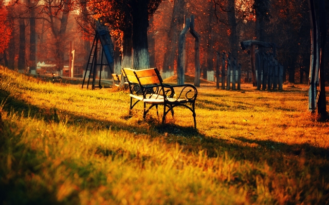 Golden-autumn-park-nature-landscape-lawn-bench-sun_2560x1600.jpg