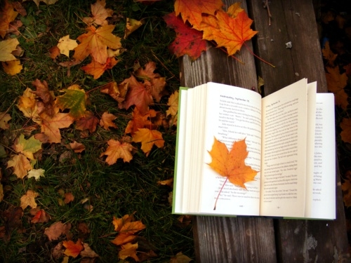 fall-book-autumn.jpg