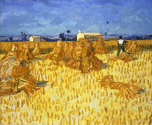 Harvest in Provence.jpg