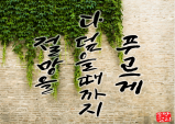 [캘리그라피] 절망을 다 덮을 때까지