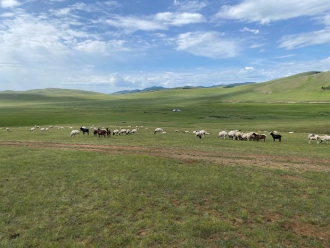 몽골 여행기 -2.jpg