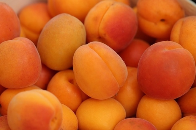 apricots-4210720_640.jpg